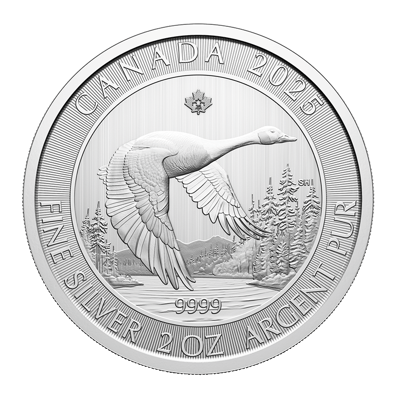 Image for 2 oz Canada Goose Silver Coin (2025) from TD Precious Metals